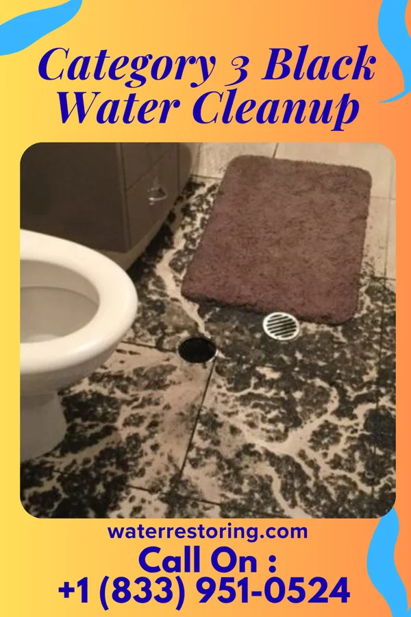 Category 3 Black Water Cleanup in DeBordieu Colony, SC