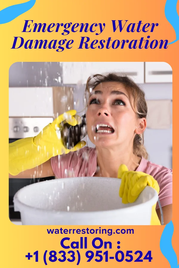 Emergency Water Damage Restoration in DeBordieu Colony, SC