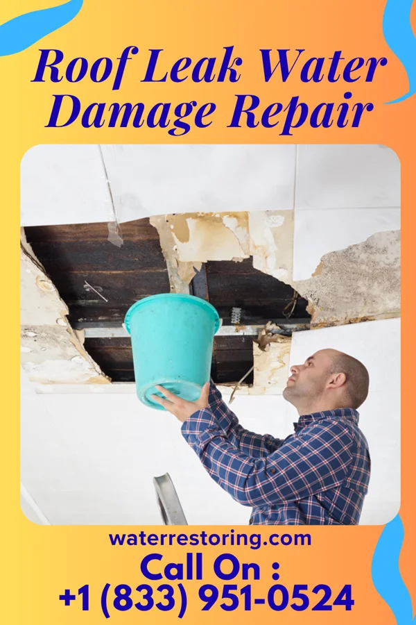 Roof Leak Water Damage Repair in DeBordieu Colony, SC