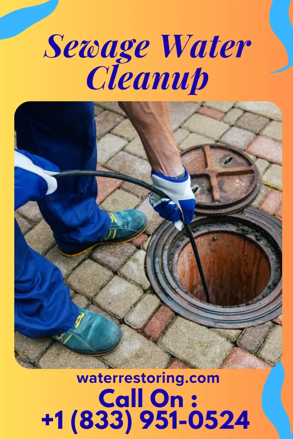 Sewage Water Cleanup in DeBordieu Colony, SC