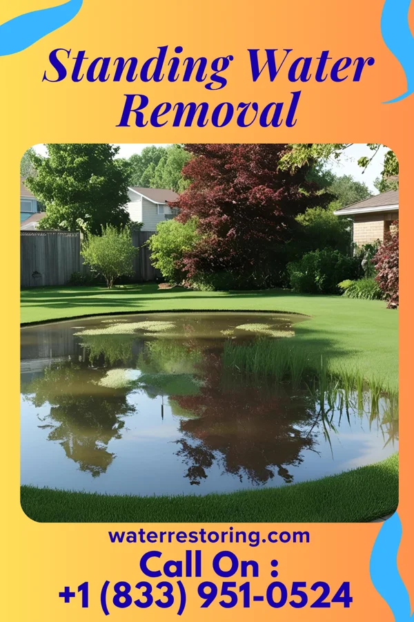 Standing Water Removal in DeBordieu Colony, SC